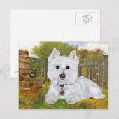 Carte postale Westie (Devant / Derrière)
