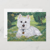 Carte postale Westie (Devant / Derrière)