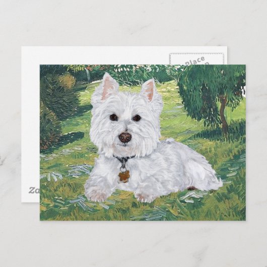 Carte postale Westie (Devant / Derrière)