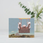 Carte postale Westie (Debout devant)