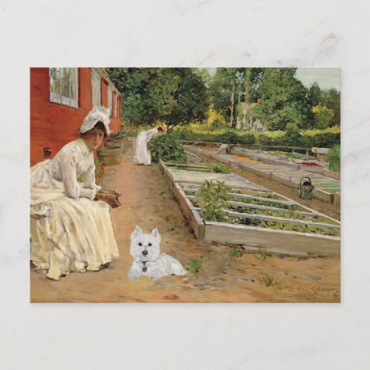 Carte postale Westie (Devant)