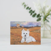 Carte postale Westie (Debout devant)