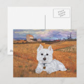 Carte postale Westie (Devant / Derrière)