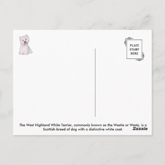 Carte postale Westie (Dos)