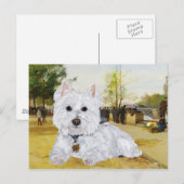 Carte postale Westie (Devant / Derrière)