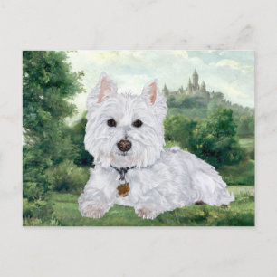 Carte postale Westie