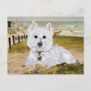 Carte Postale Westie à la Plage