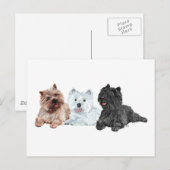 Carte Postale Westie avec deux terriers Cairn (Devant / Derrière)