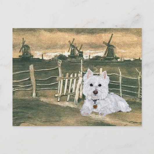 Carte Postale Westie avec Windmills (Devant)