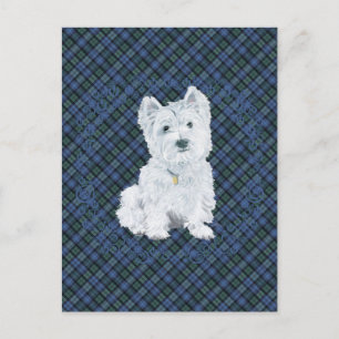 Carte Postale Westie Black Watch Tartan