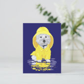Carte Postale Westie Chien averses d'avril (Debout devant)