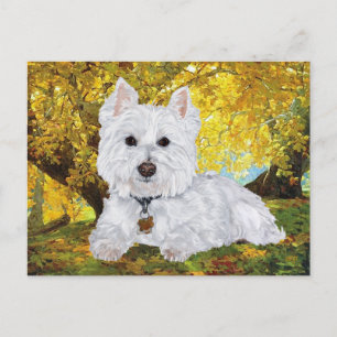 Carte Postale Westie dans les bois dorés