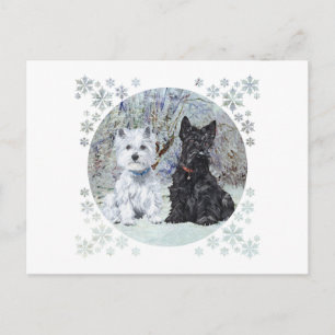 Carte Postale Westie et Scottie dans un paysage enneigé
