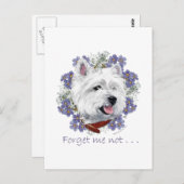 Carte Postale Westie Forget (Devant / Derrière)