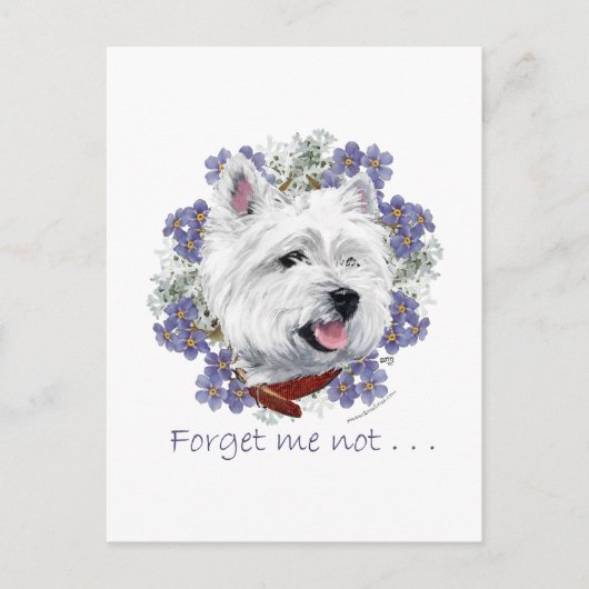 Carte Postale Westie Forget (Devant)