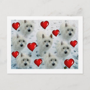 Carte Postale Westie hearts postcard thankyou, birthday, hello e