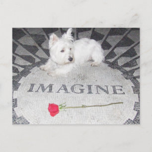 Carte Postale Westie imagine la paix mondiale