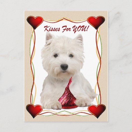 Carte Postale Westie Kisses Pour Vous (Devant)