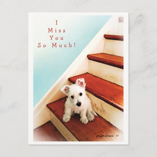 Carte Postale Westie Puppy On Step Missing You ! n° 2 (Devant)