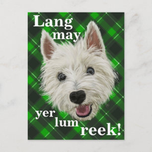 Carte Postale Westie Sagdom. Lang may yer lum reek !