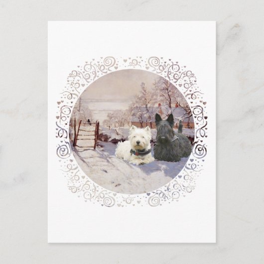 Carte Postale Westie & Scottie Hiver Pie (Devant)