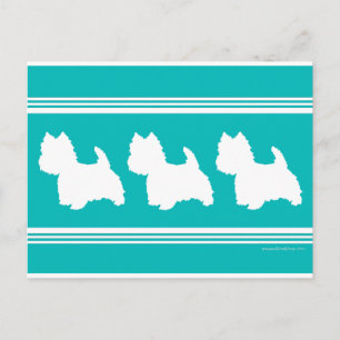 Carte Postale Westie Silhouette sur Turquoise