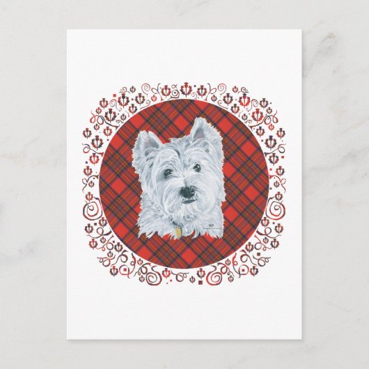 Carte Postale Westie sur Tartan (Devant)