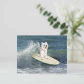 Carte Postale Westie Surfeur (Debout devant)