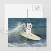 Carte Postale Westie Surfeur (Devant / Derrière)
