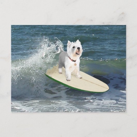 Carte Postale Westie Surfeur (Devant)