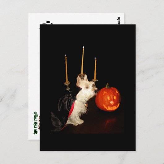 Carte Postale Westie Vampire Dracula (Devant / Derrière)