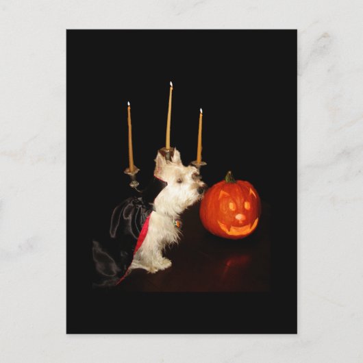 Carte Postale Westie Vampire Dracula (Devant)