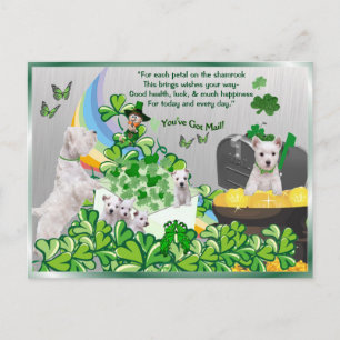 Carte Postale Westie You’ve got Mail - St Patrick's Day Version