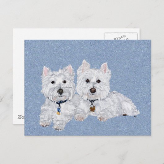 Carte postale Westies (Devant / Derrière)