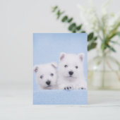 Carte Postale Westies bleus (Debout devant)