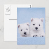 Carte Postale Westies bleus (Devant / Derrière)