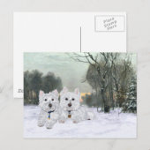 Carte Postale Westies en hiver (Devant / Derrière)