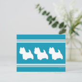 Carte Postale Westies turquoise (Debout devant)