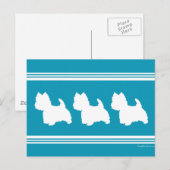 Carte Postale Westies turquoise (Devant / Derrière)