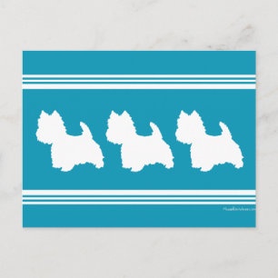 Carte Postale Westies turquoise