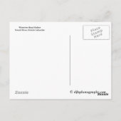 Carte Postale Westivew Boat Harbour (Dos)