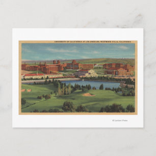 Carte Postale Westwood Hills, CA - Vue du campus de U.C.L.A.