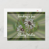 Carte postale Wet Dandelion- cheer ou toute occasi (Devant / Derrière)