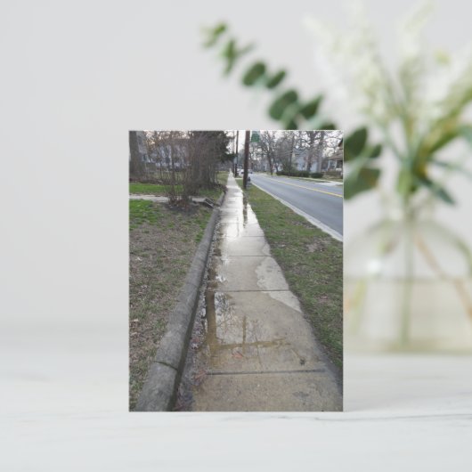 Carte Postale Wet Sidewalk (Debout devant)