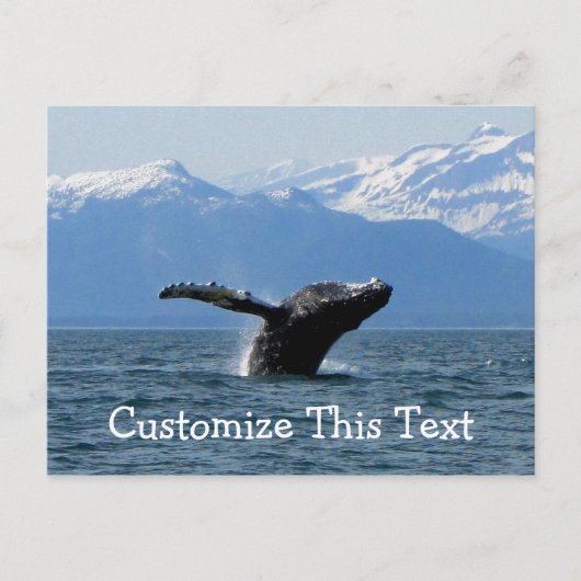 Carte Postale Whale Playtime ; Personnalisable (Devant)