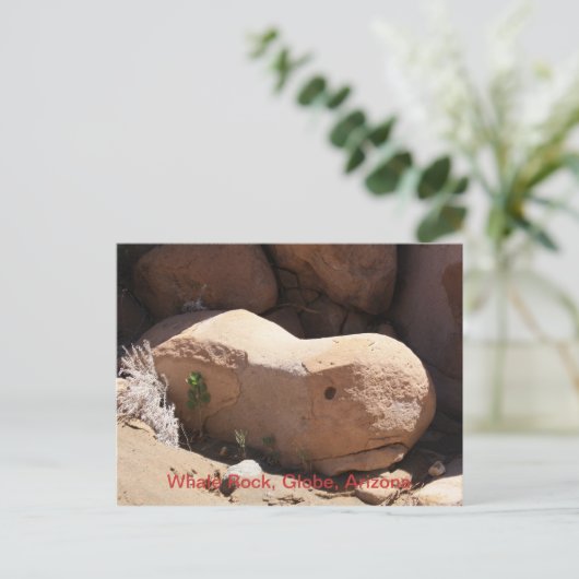 Carte Postale Whale Rock, Globe, Arizona (Debout devant)