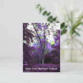 Carte Postale what a world (Debout devant)