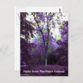 Carte Postale what a world (Devant / Derrière)