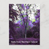 Carte Postale what a world (Devant)