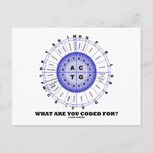 Carte Postale What Are You Coded For ? (Amino Acid Wheel) (Devant)